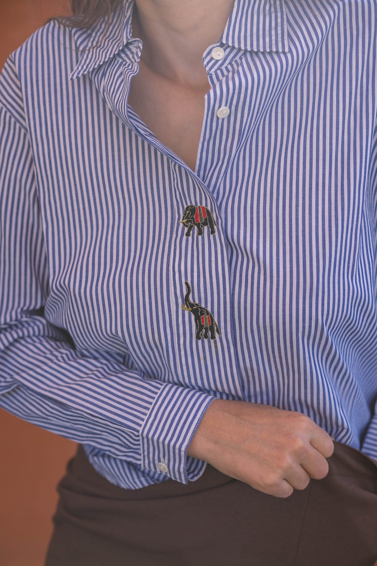 Elephant embroidered blue and white striped button up woman shirt, Vintage oxford shirt M