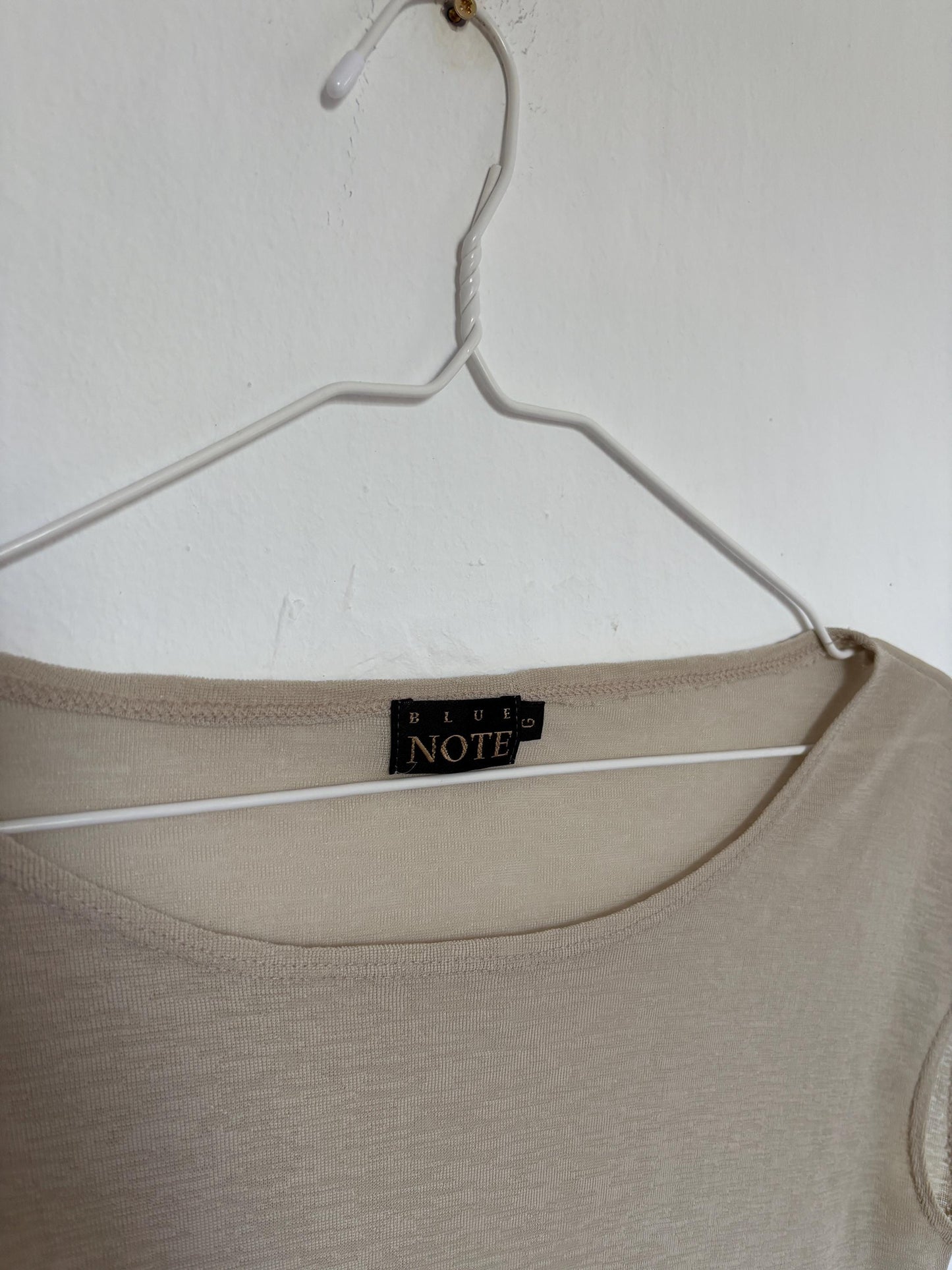 Vintage Blue Note Sheer Camisole – Lightweight See-Through Top – Elegant Beige Summer Blouse, Size S