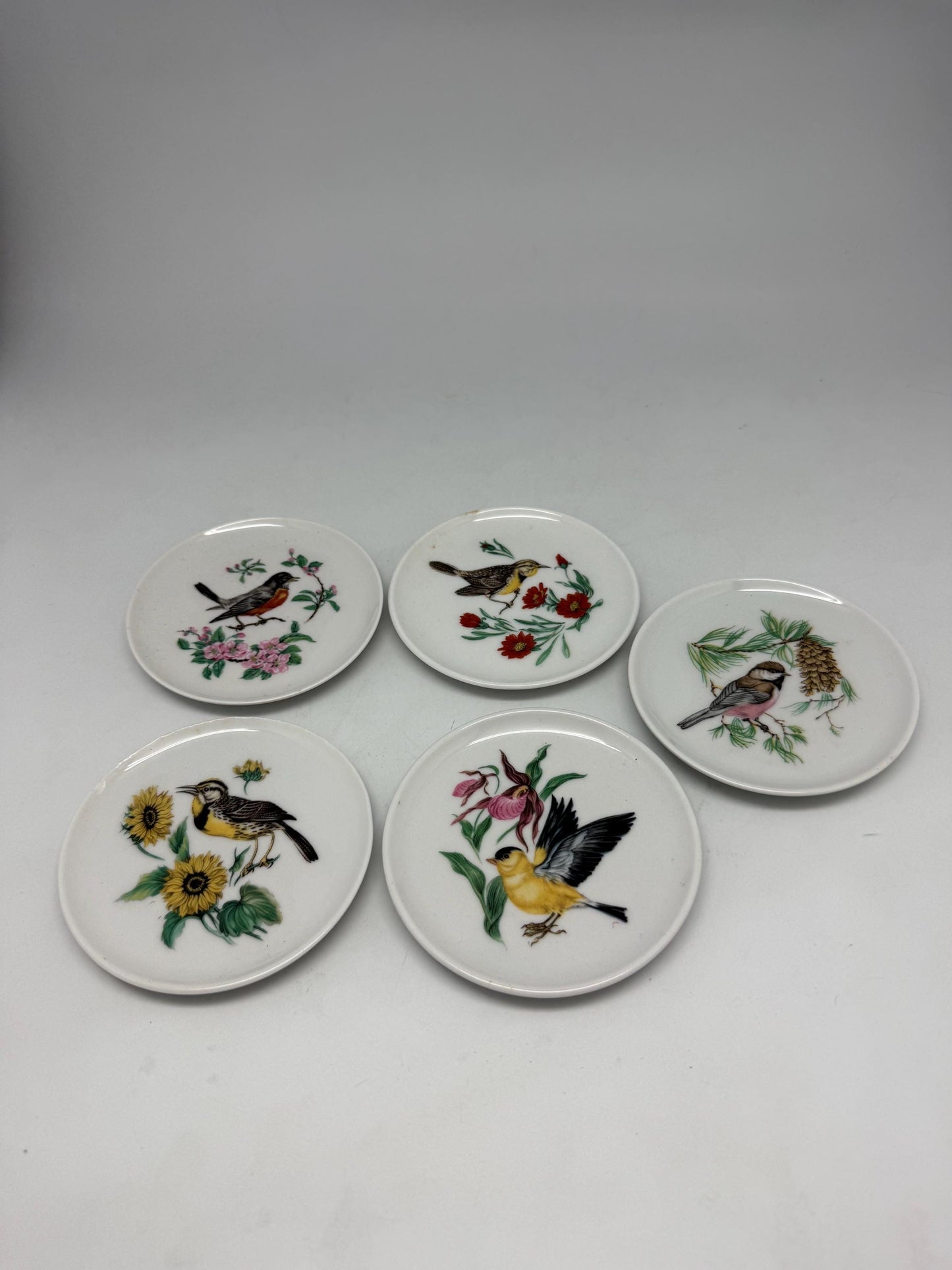 Vintage Bavaria Schumann Arzberg Bird Plates – Set of 5 | German Porcelain Miniature Decorative Plates | Floral Avian Wall Decor