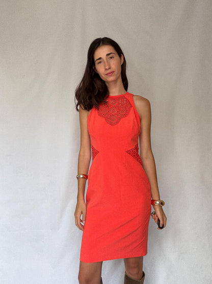 Coral Lace Panel Bodycon Dress