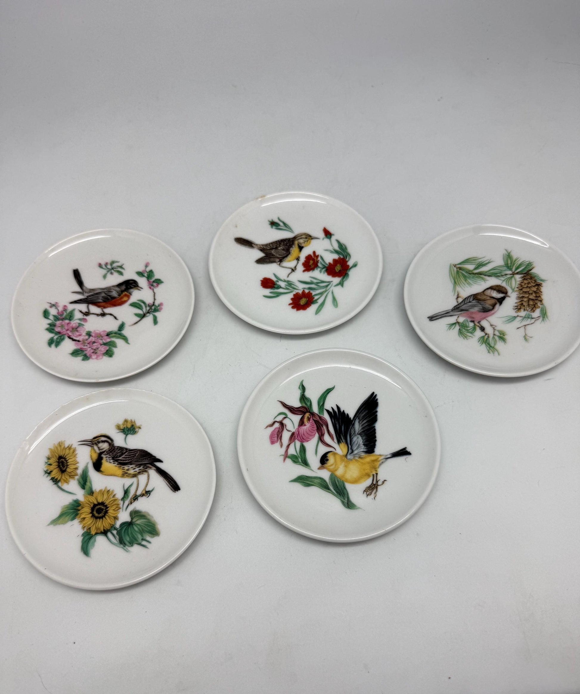 Vintage Bavaria Schumann Arzberg Bird Plates – Set of 5 | German Porcelain Miniature Decorative Plates | Floral Avian Wall Decor