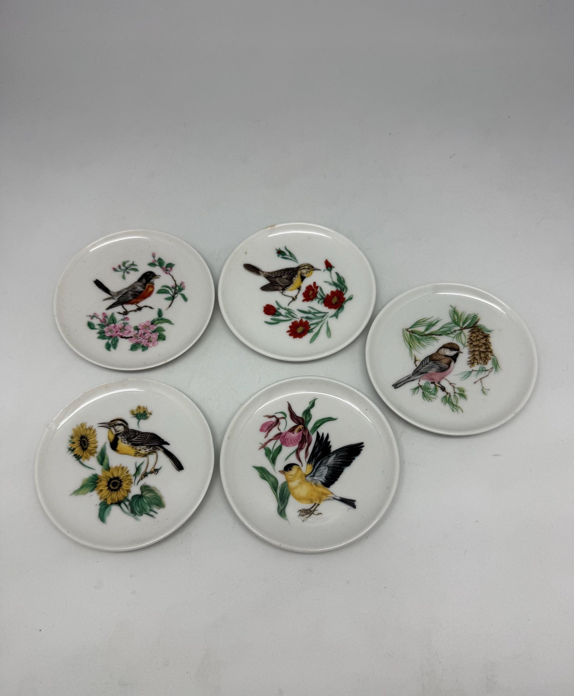Vintage Bavaria Schumann Arzberg Bird Plates – Set of 5 | German Porcelain Miniature Decorative Plates | Floral Avian Wall Decor
