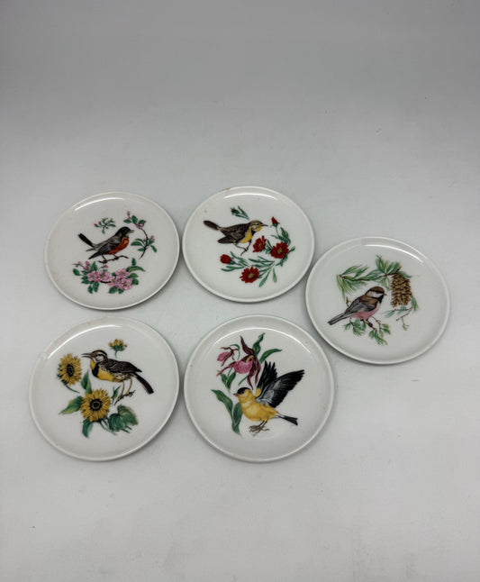Vintage Bavaria Schumann Arzberg Bird Plates – Set of 5 | German Porcelain Miniature Decorative Plates | Floral Avian Wall Decor