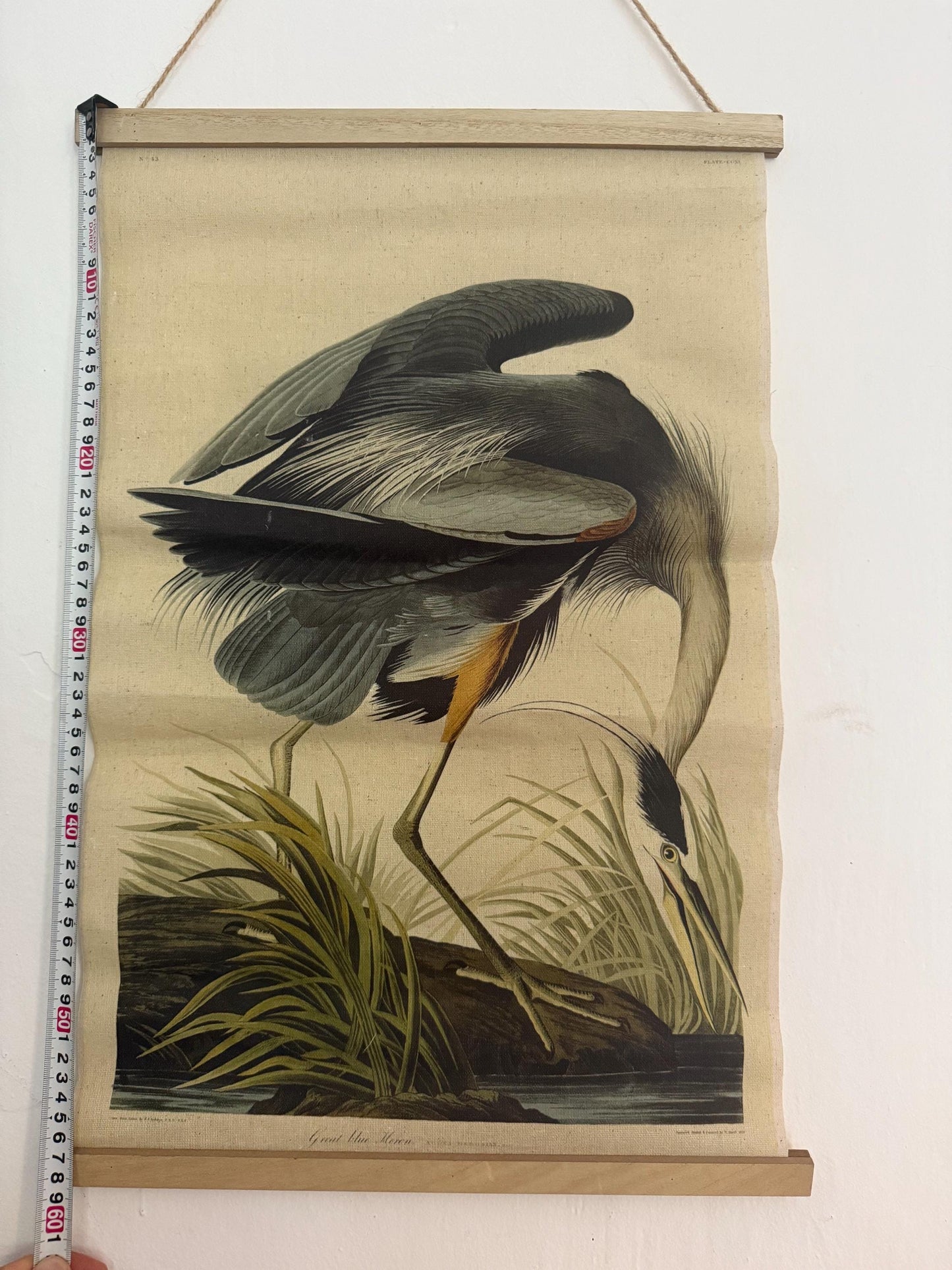 John James Audubon Style Great Blue Heron Linen Wall Hanging, Natural History Bird Illustration, Vintage Inspired Home Decor