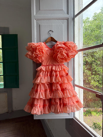 Salmon Pink Flamenco Dress for Kids — back view