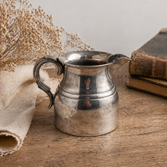 Valmazan Silver Coated Jug