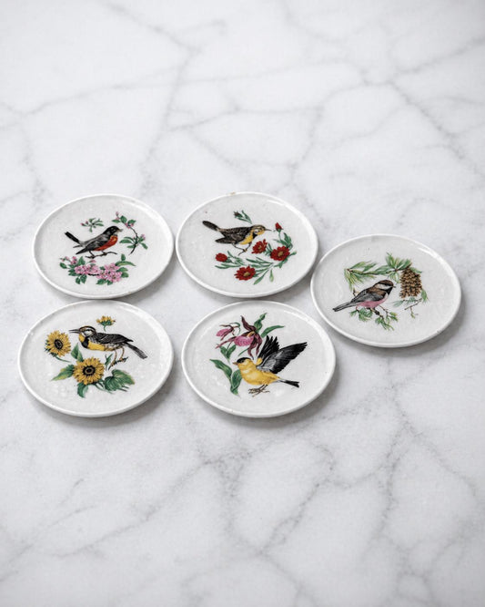 Bavaria Schumann Arzberg Bird Plates Set