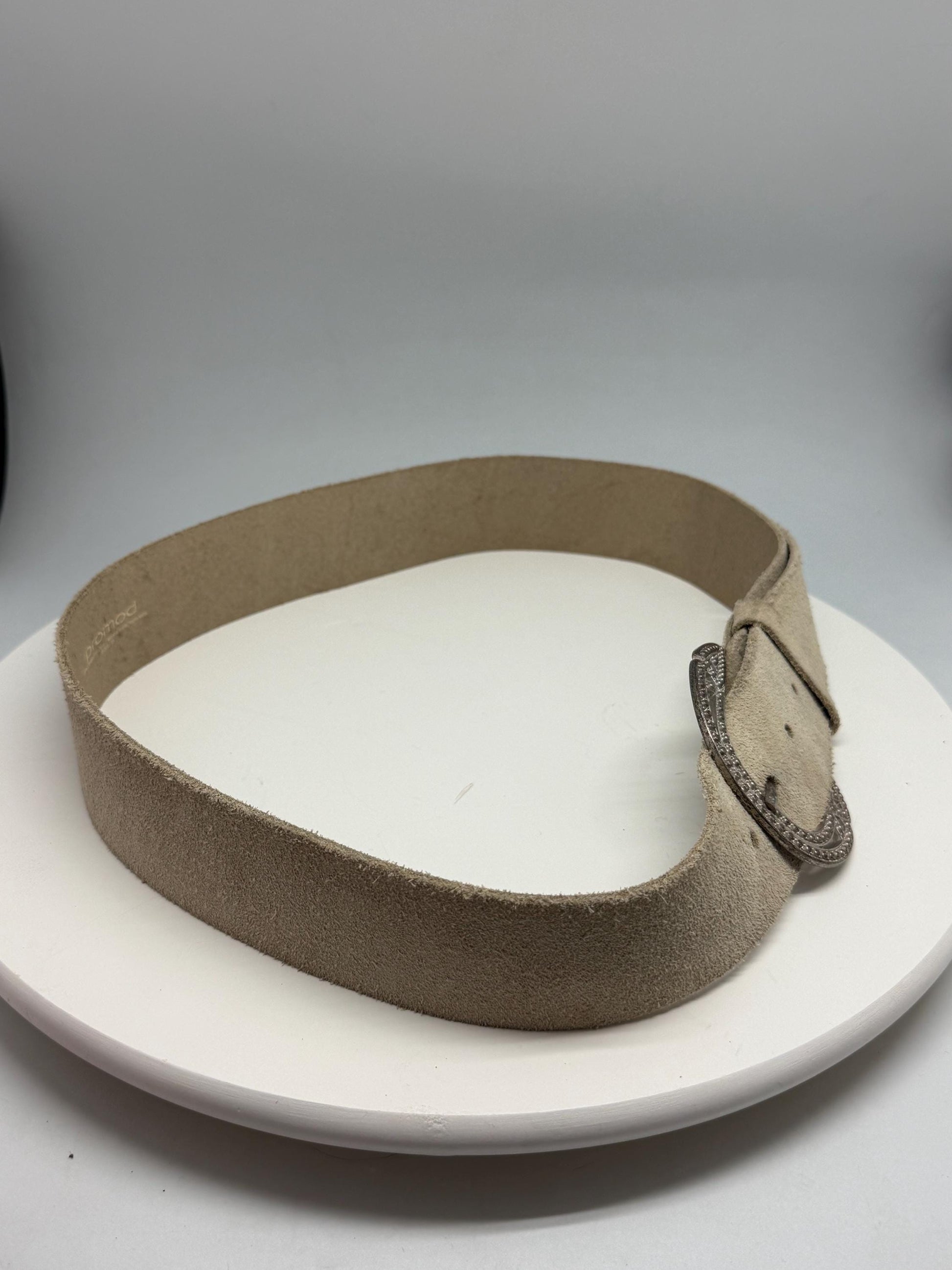 Beige Suede Leather Wide Belt With Silver Buckle — additional view 13