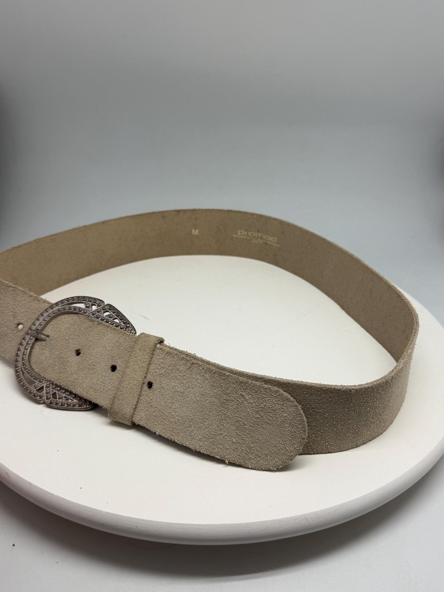 Beige Suede Leather Wide Belt With Silver Buckle — back view
