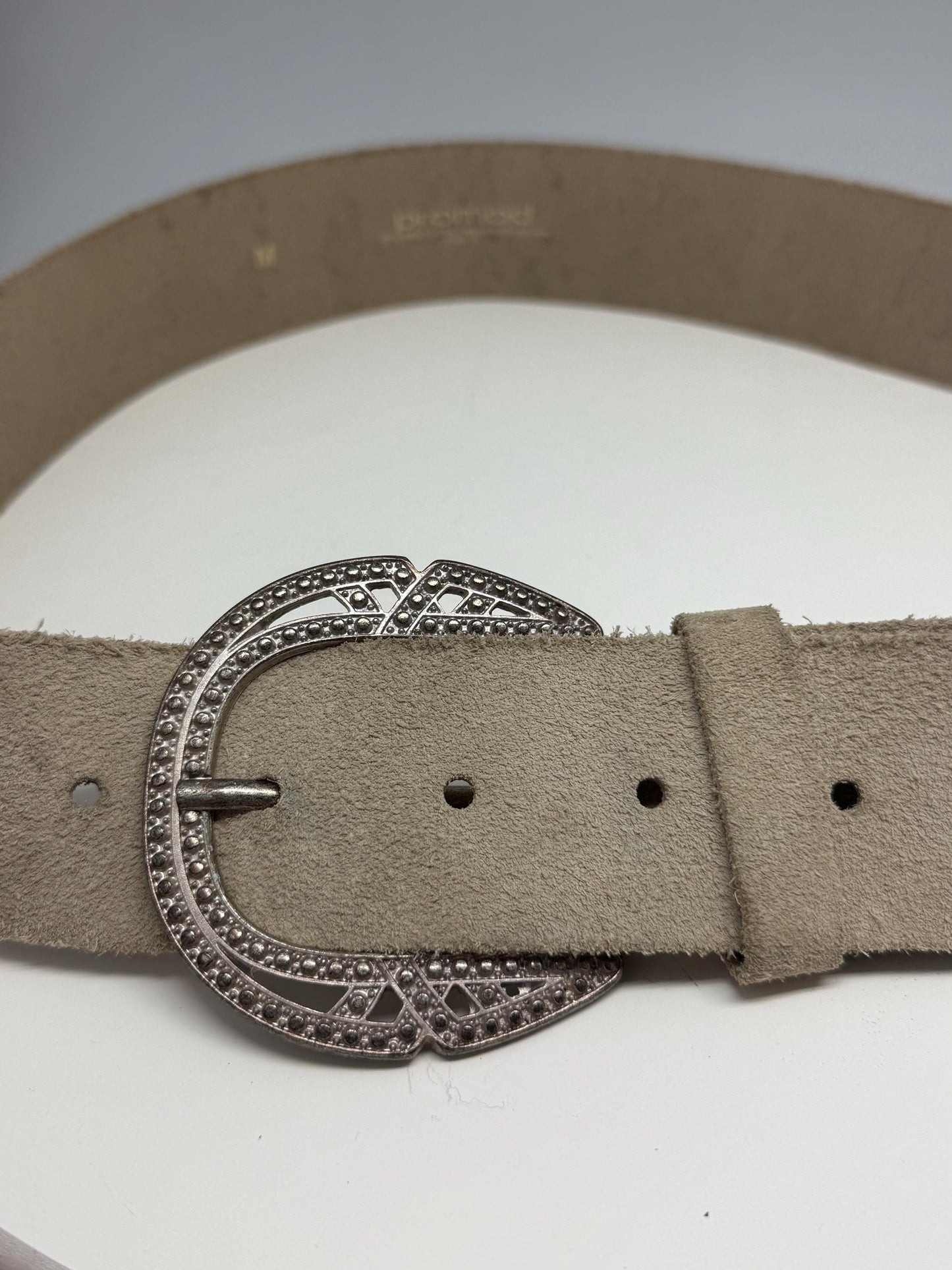 Beige Suede Leather Wide Belt With Silver Buckle — additional view 15