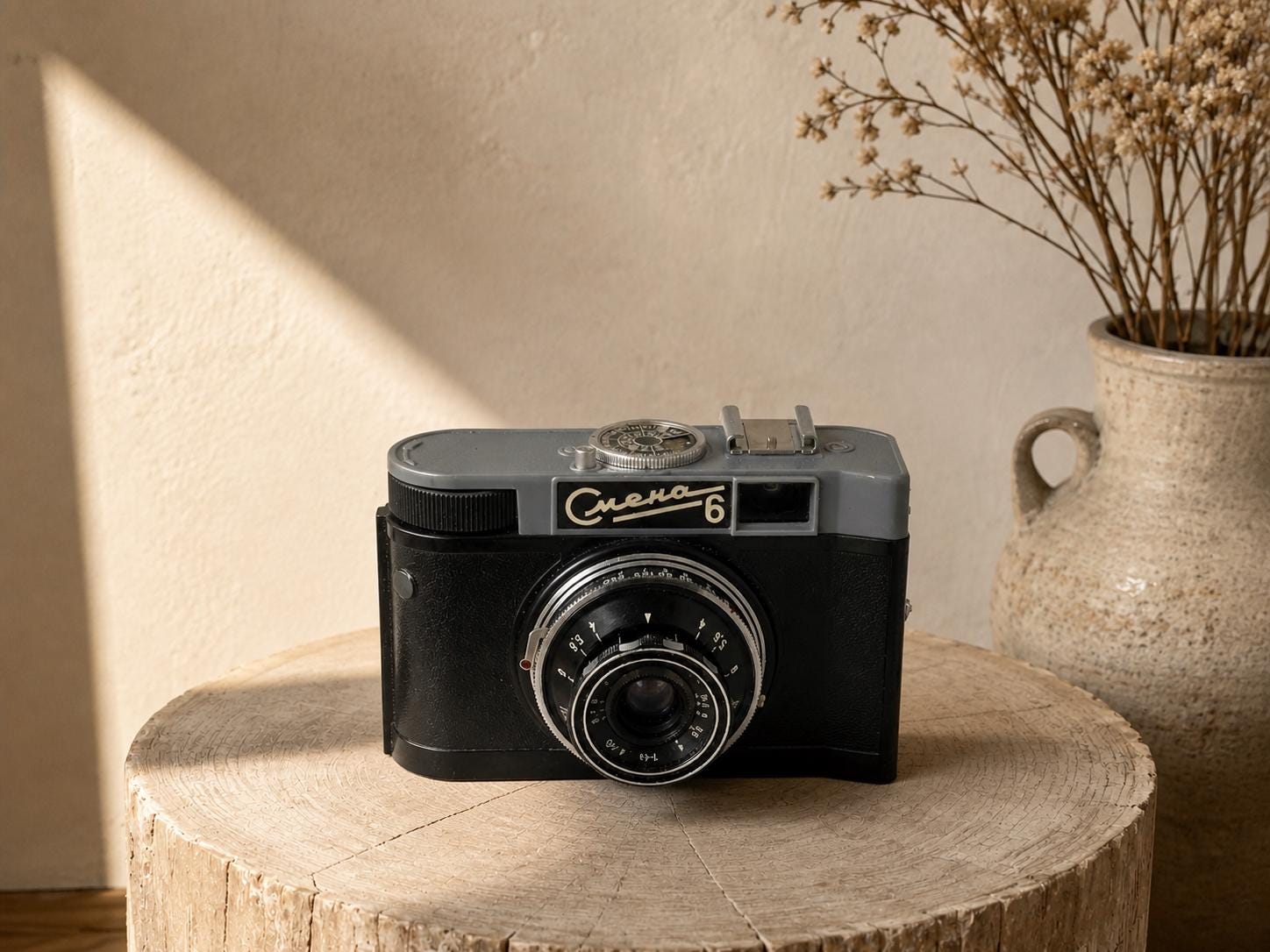 Vintage Film Camera with Carry Bag