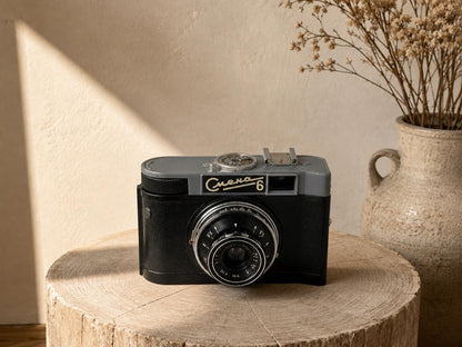 Vintage Film Camera with Carry Bag