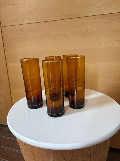 Vintage Amber Brown Highball Glasses Set of 5 | Gold-Rimmed Etched Leaf Tumblers | Elegant Retro Barware