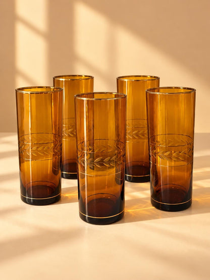 Vintage Amber Brown Highball Glasses Set of 5 | Gold-Rimmed Etched Leaf Tumblers | Elegant Retro Barware