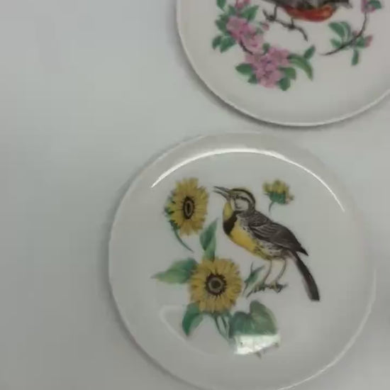 Vintage Bavaria Schumann Arzberg Bird Plates – Set of 5 | German Porcelain Miniature Decorative Plates | Floral Avian Wall Decor
