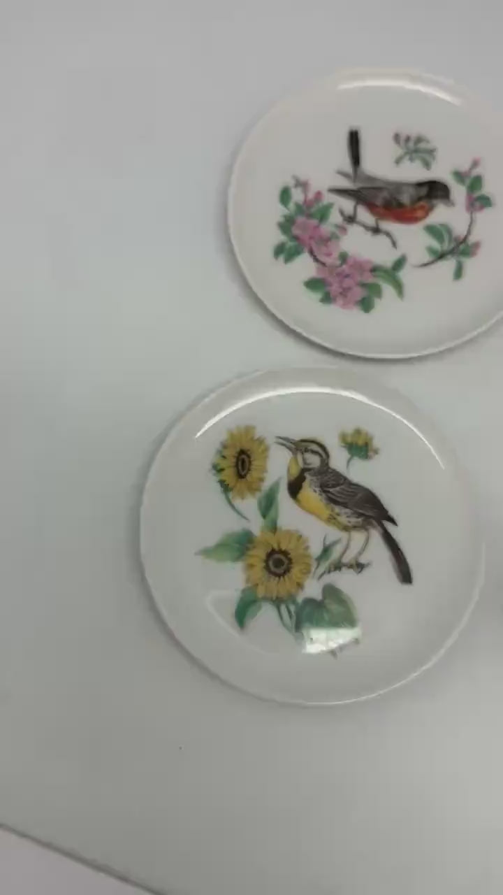 Vintage Bavaria Schumann Arzberg Bird Plates – Set of 5 | German Porcelain Miniature Decorative Plates | Floral Avian Wall Decor